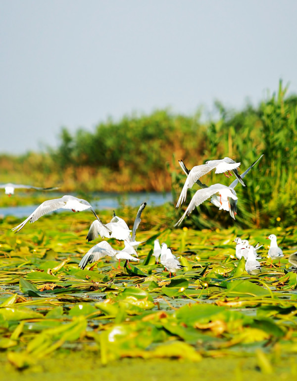 Cazare Lacul Izvorul Muntelui