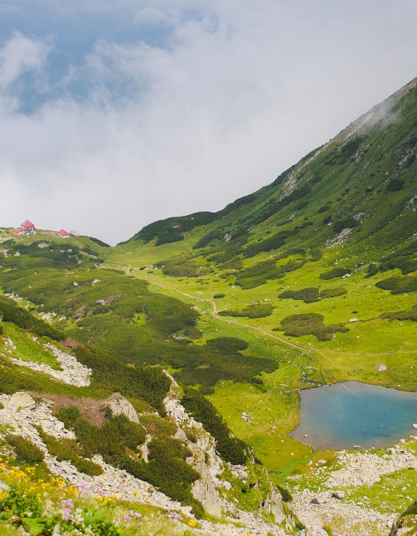 Cazare Munții Rodnei