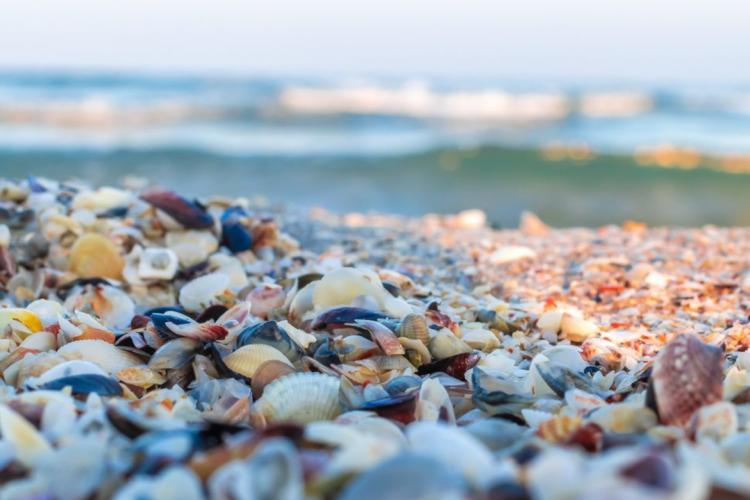 Obiective turistice litoralul romanesc