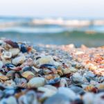 Obiective turistice litoralul romanesc